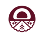 Nao-buns logo