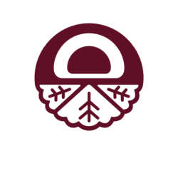 Nao-buns